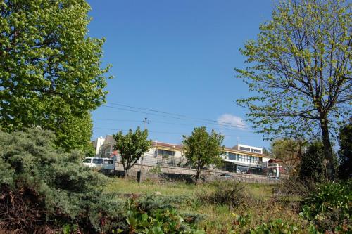 DSC 0195