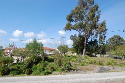 DSC 0218