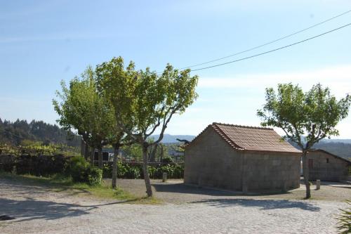 DSC 0233