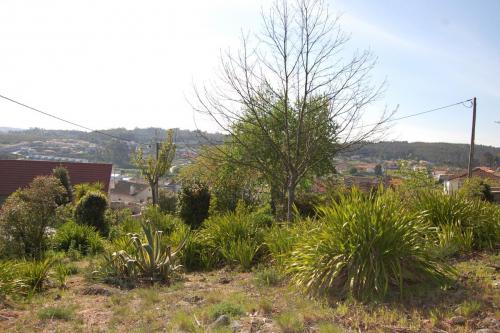 DSC 0236